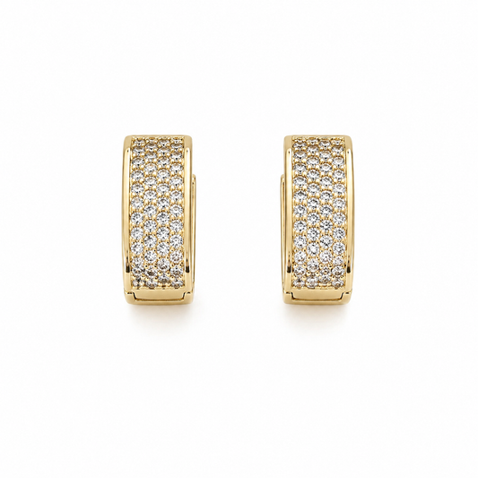 Gold Sterling Silvery Cubic Zirconia Earrings